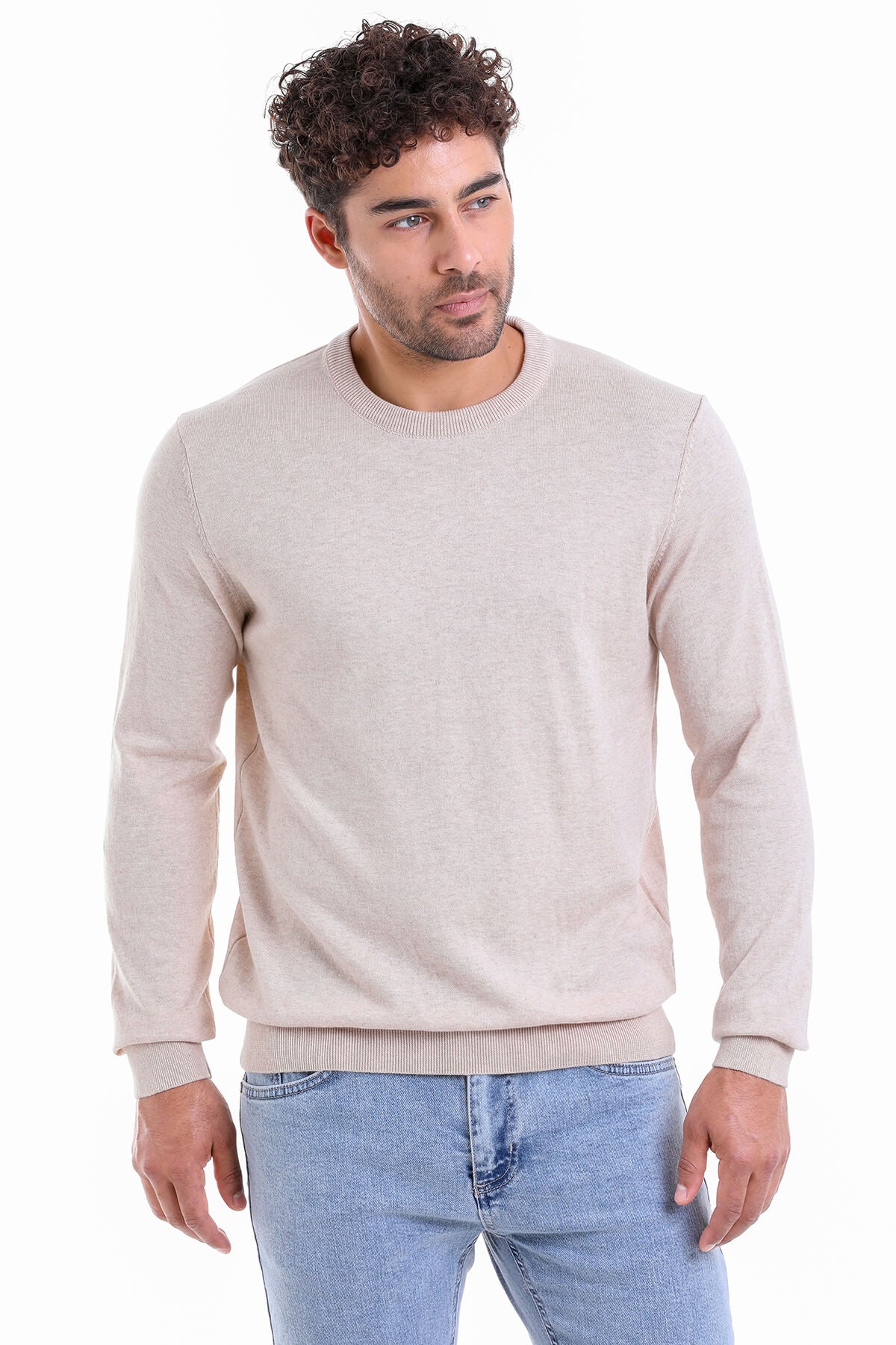 Regular Fit Cotton Beige Crewneck Sweater - SAYKI