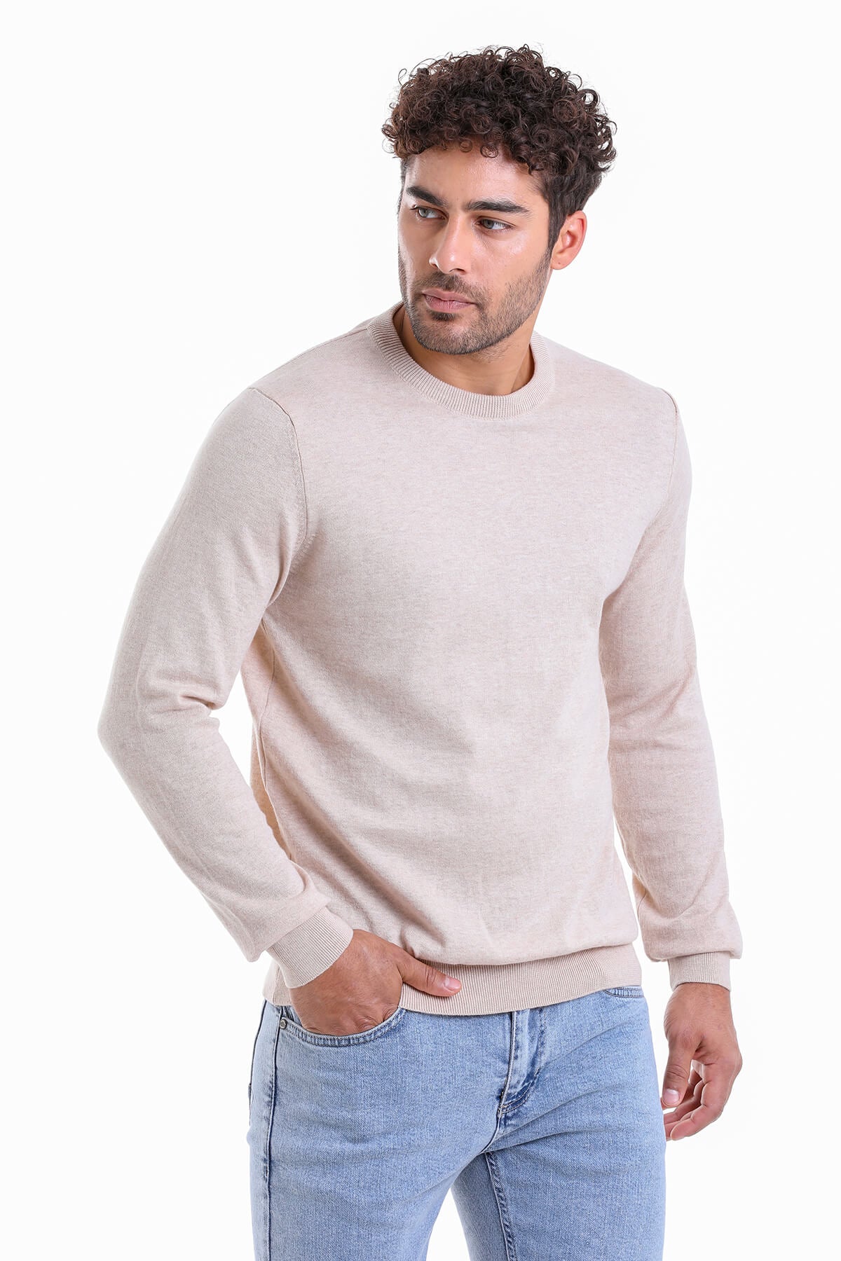 Regular Fit Cotton Beige Crewneck Sweater - SAYKI