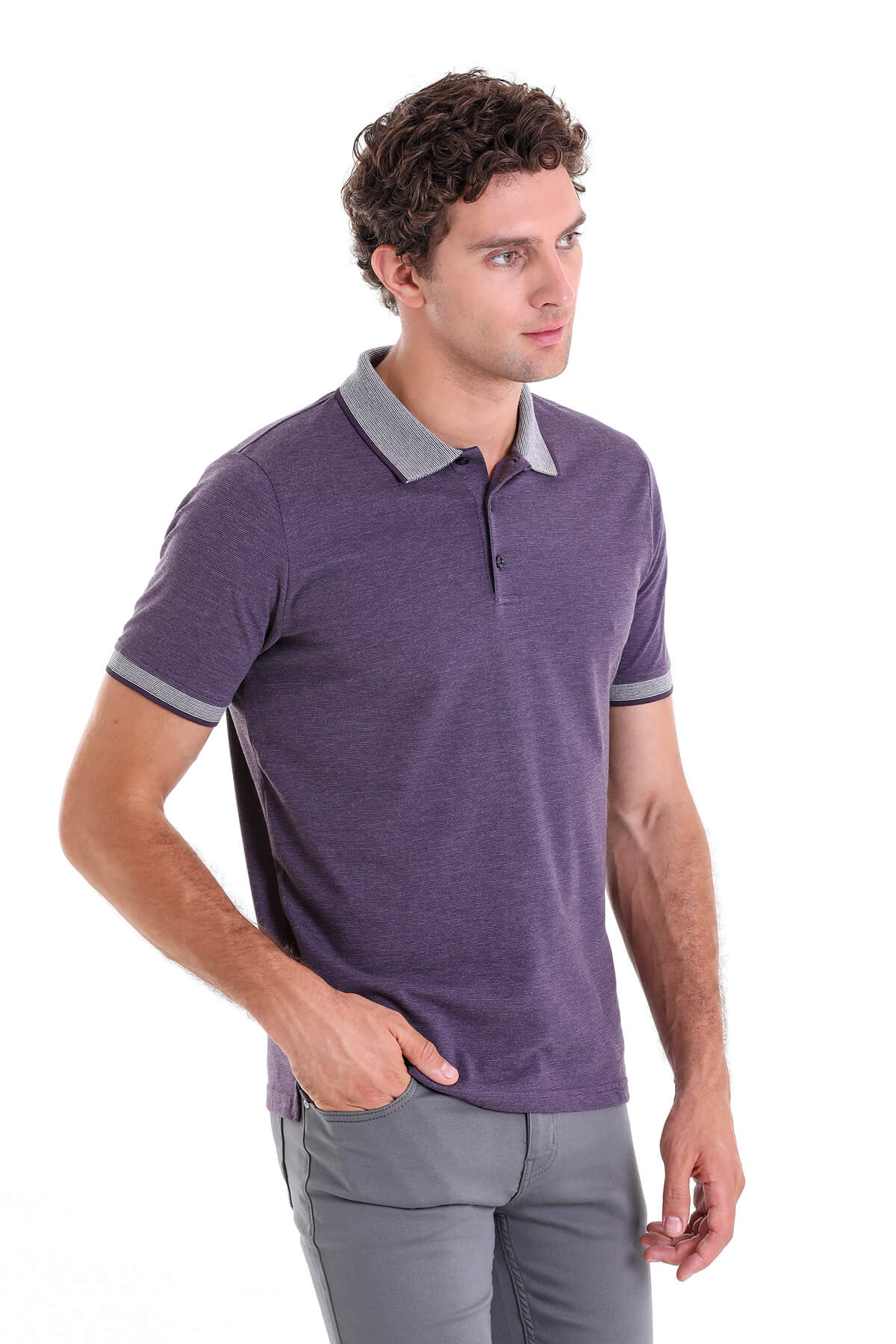 Regular Fit Cotton Blend Plum Polo T-Shirt - SAYKI