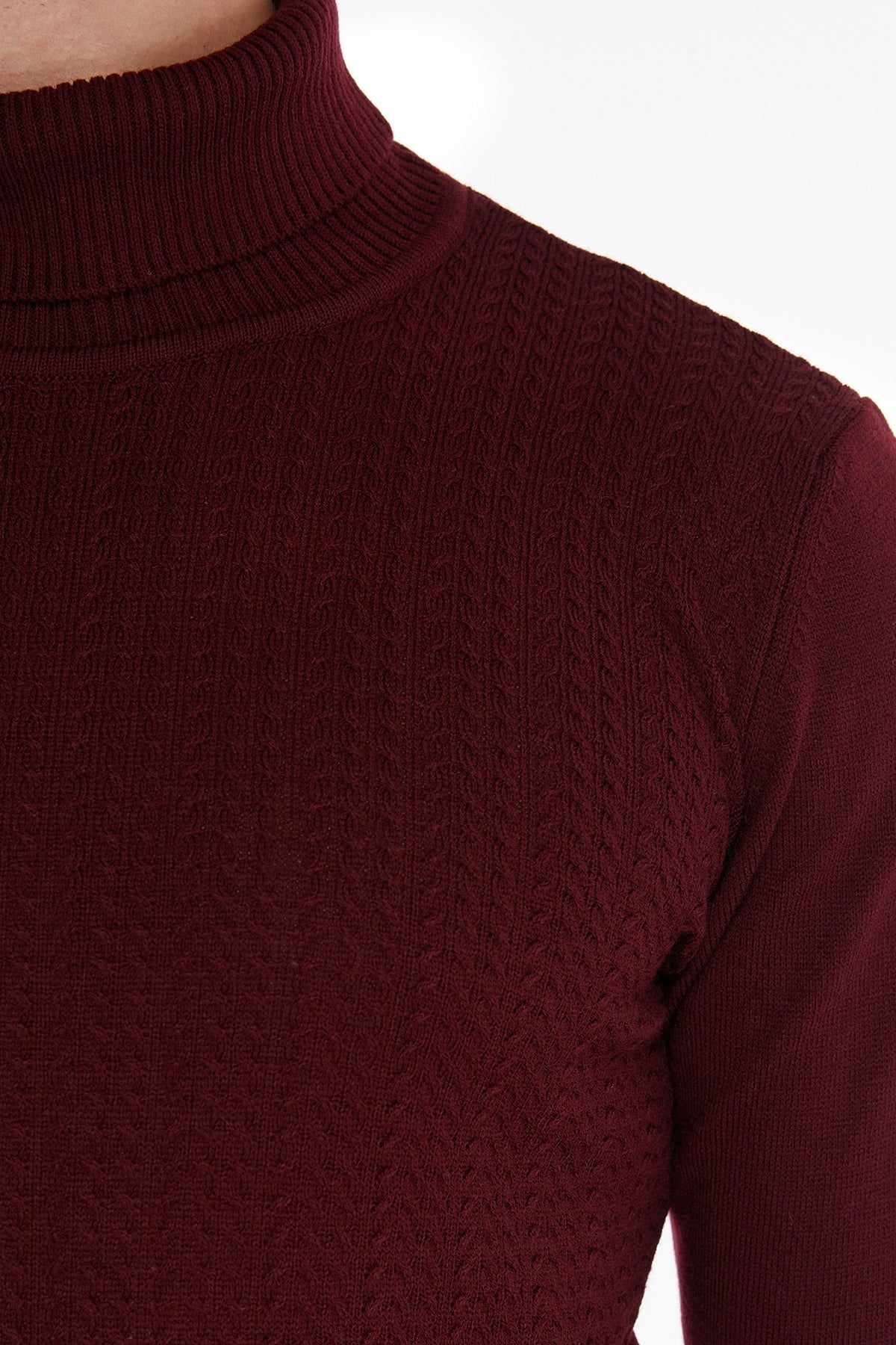 Regular Fit Light Burgundy Turtleneck Sweater - SAYKI