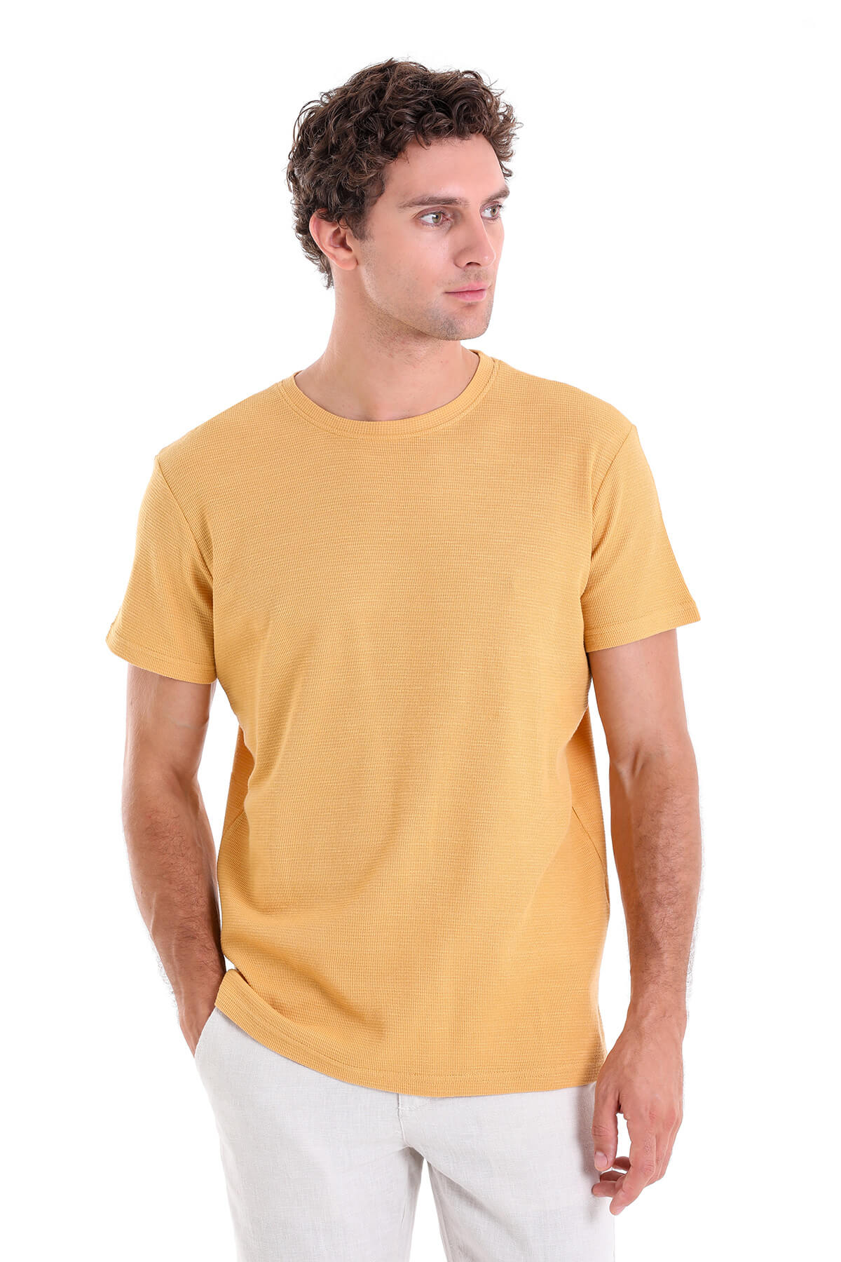 Regular Fit Mustard Cotton Crew Neck T-Shirt - SAYKI