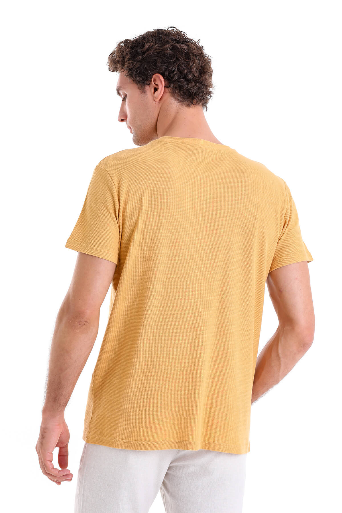 Regular Fit Mustard Cotton Crew Neck T-Shirt - SAYKI