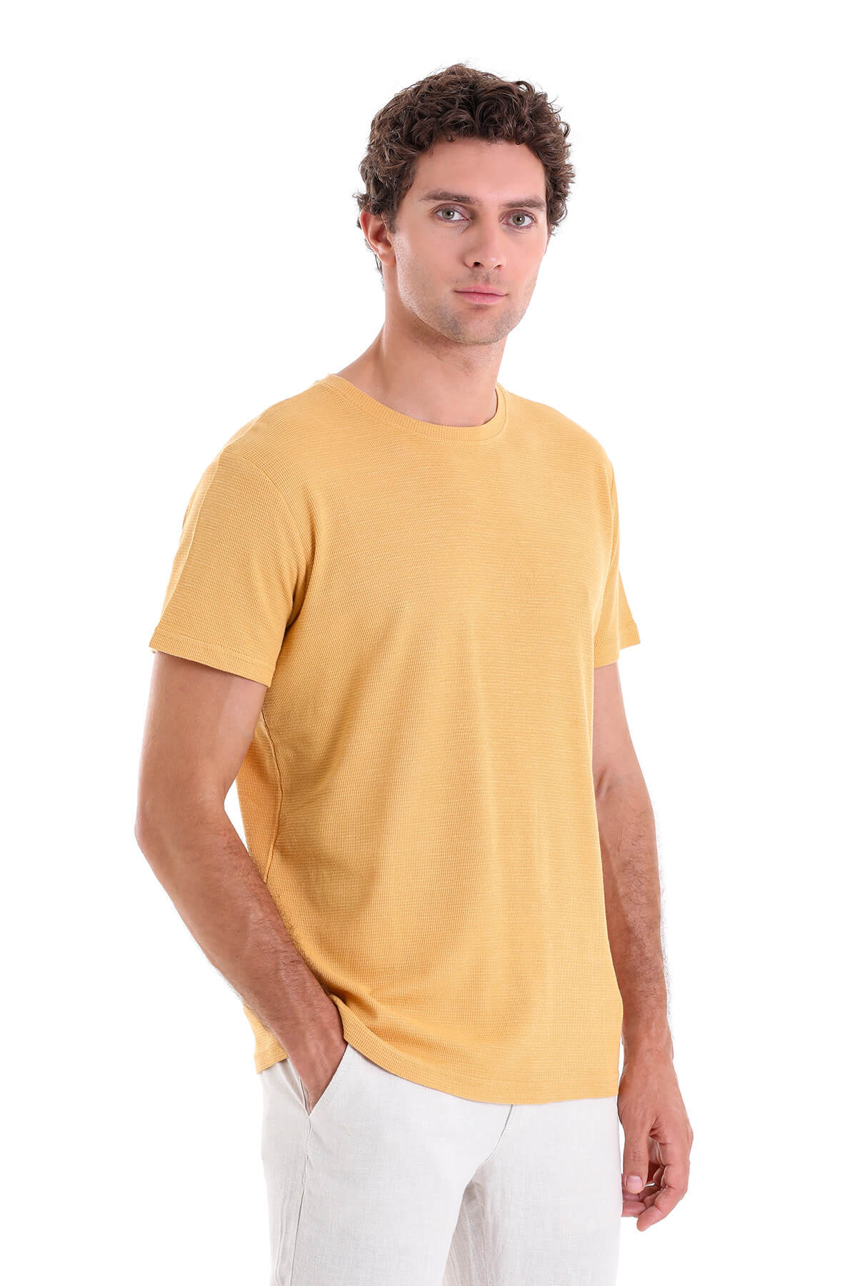 Regular Fit Mustard Cotton Crew Neck T-Shirt - SAYKI