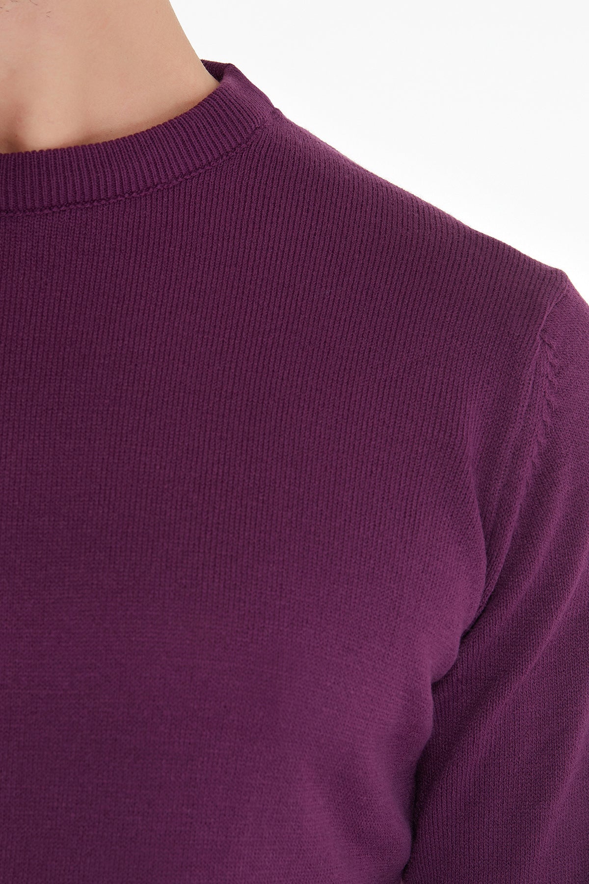 Regular Fit Plum Crewneck Sweater - SAYKI