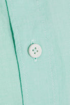Slim Fit Long Sleeve Cotton Green Water Casual Shirt - SAYKI
