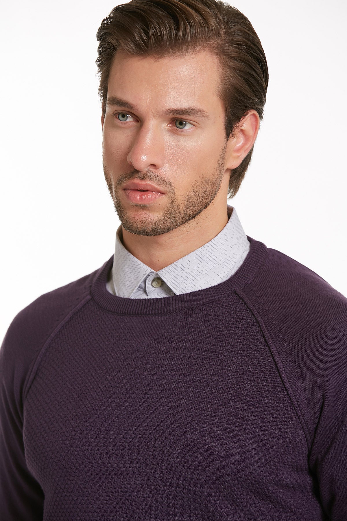 Slim Fit Purple Cotton Blend Crewneck Sweater - SAYKI