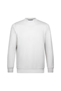 Regular Fit Light Gray Crewneck Sweatshirt