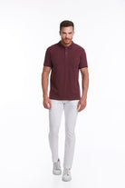 Regular Fit Patterned Cotton Blend Plum Polo T-Shirt - MIB
