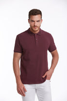 Regular Fit Patterned Cotton Blend Plum Polo T-Shirt - MIB