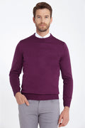 Regular Fit Purple Crewneck Sweater